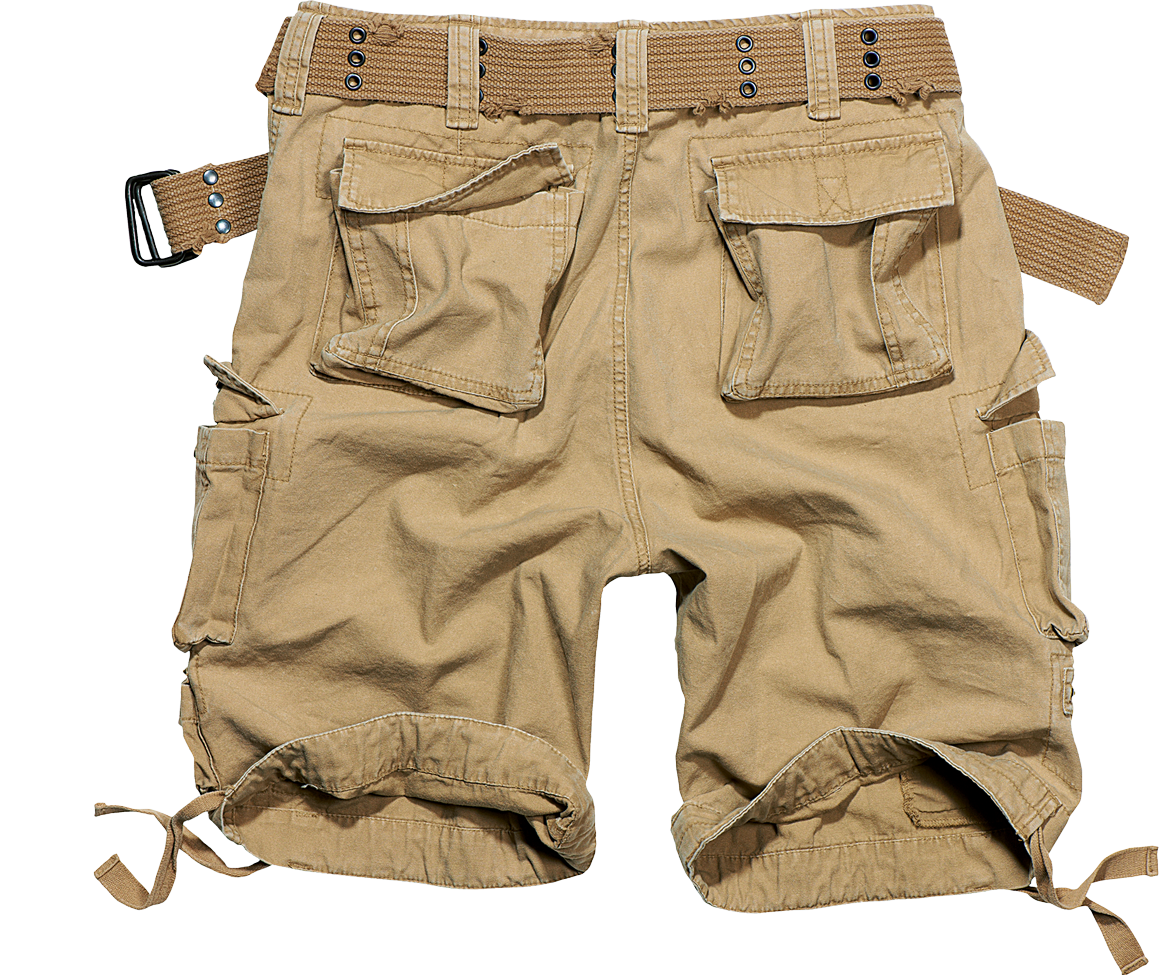 Savage Vintage Shorts