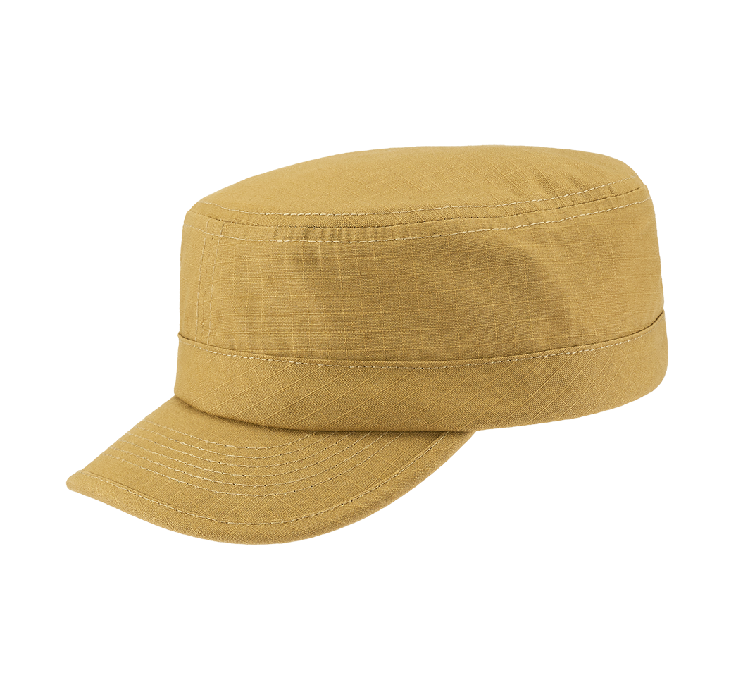 camel