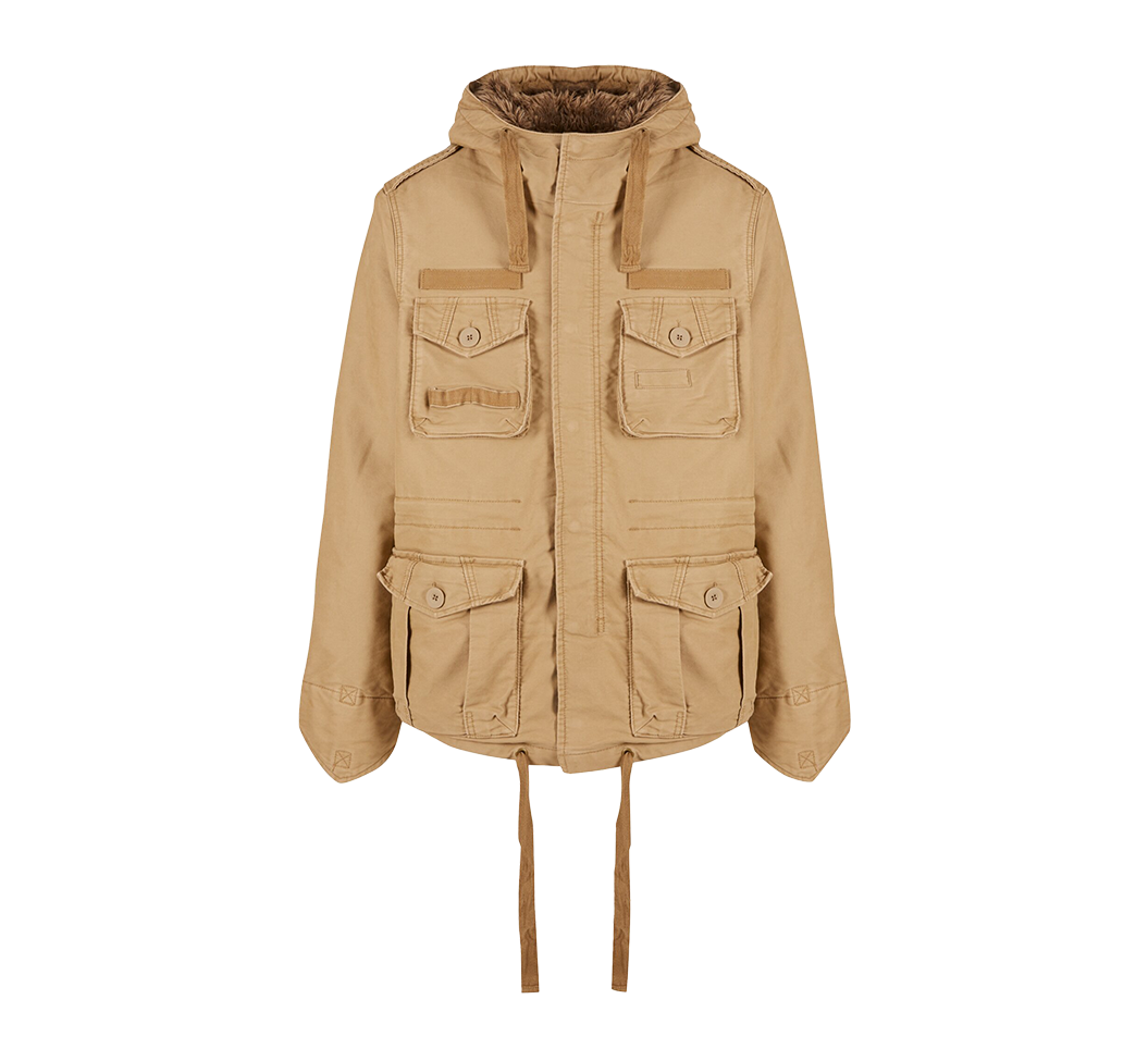 camel