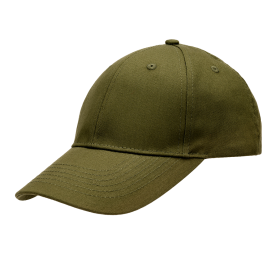 olive olive